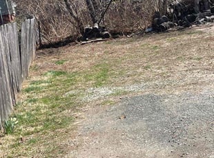 Leaf Removal by Lionel Foster for Ludwig R. in Manchester, CT
