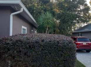 Bush Trimming by Kelvin Williams for Stuart C. in Jacksonville, FL