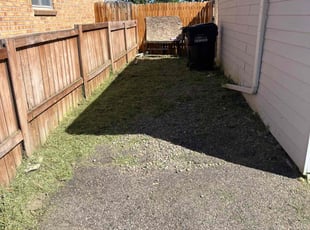 Cleanups by Charles Cureton for Patty M. in Denver, CO