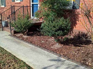 Cleanups by James/Andrea Robinson/Stafford for Stacey H. in Murfreesboro, TN