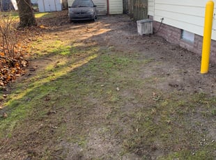 Leaf Removal by Ryan Cooper for Ronni D. in Grand Rapids, MI