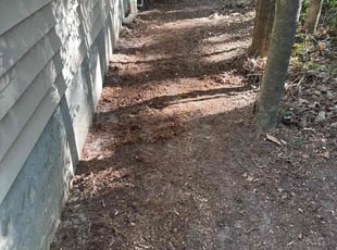 Leaf Removal by James Barkley for Alexandra A. in Tallahassee, FL
