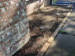 Weeding by Thomas Dilbeck for Agnes S. in Houston, TX