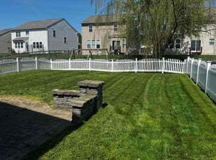 Joseph M.'s Grass Cutting service result