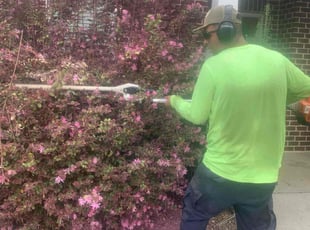 Bush Trimming by Jaime Caraballo for Megan W. in Grayson, GA