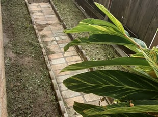 Landscaping by Dedrionne Stembridge for Robert C. in New Orleans, LA