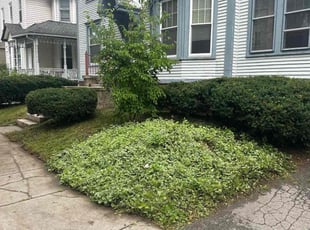 Bush Trimming by Jay Durant for Sindy C. in Rochester, NY
