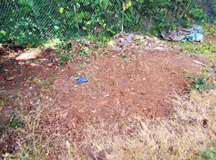 Cleanups by Coben Varland for Lori G. in Bellevue, WA