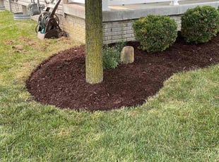 Landscaping by Carlos Bermudez for Bradford M. in Reynoldsburg, OH