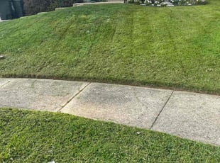 Sylvia R.'s Lawn Service service result