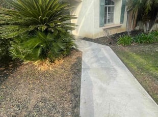 Bush Trimming by Guillermo Rodriguez for Francine H. in Bakersfield, CA