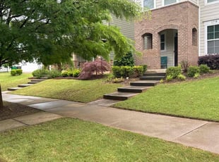Karen R.'s Lawn Mowing Service service result