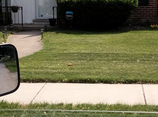 Bush Trimming by Kevin Reese for Ofreda W. in Redford Charter Township, MI