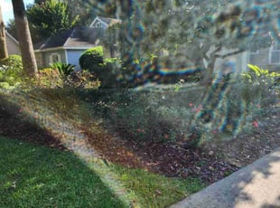 Wanda W.'s Bush Trimming service result