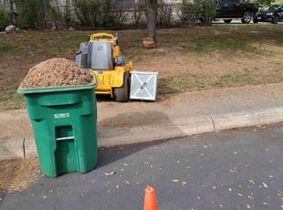 Leaf Removal by Jason Westgor for James G. in San Antonio, TX