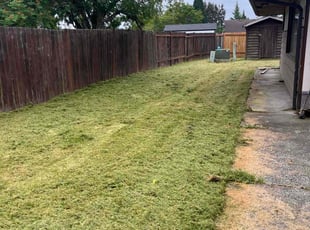 Elizabeth S.'s Lawn Service service result