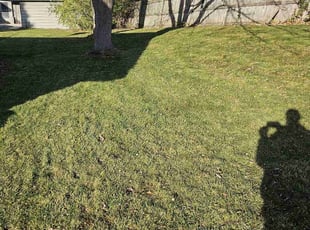 Leaf Removal by Robert Dowdy for Keyjuan S. in Milwaukee, WI