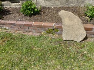 Weeding by Jeremy Partaine for Matt M. in Memphis, TN