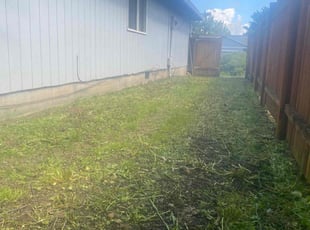 Cleanups by Travis Thompson for Michelle T. in Vancouver, WA
