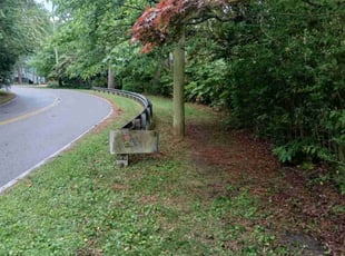 Bush Trimming by Stanley Lassiter for Jennifer S. in Virginia Beach, VA