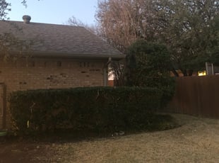 Bush Trimming by Juan Garcia for Katianna P. in Richardson, TX