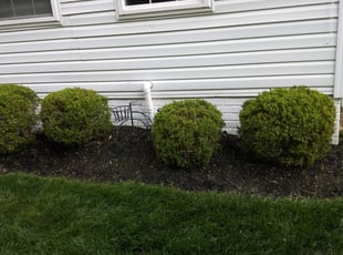 Bush Trimming by Greg Bush for Tracy M. in Brandywine, MD