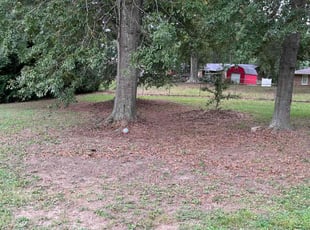 Cleanups by Rashad Adams for Jennifer N. in Anderson, SC