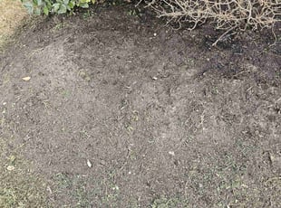 Weeding by Kevin Tyler for Maya W. in Manvel, TX