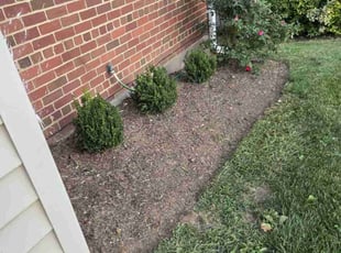 Weeding by Jairon Villagran for Dawn F. in Silver Spring, MD