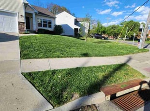 Adrienne P.'s Lawn Mowing service result