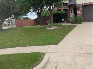 Dan T.'s Yard Cutting service result