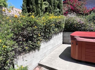 Bush Trimming by Samuel Benavides for Lance o. in San Bernardino, CA