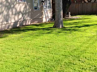 Dee W.'s Lawn Maintenance service result