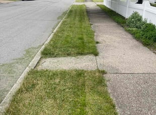 Alan S.'s Lawn Service service result