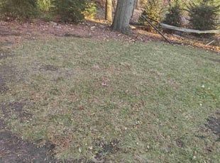Weeding by Chris Steinhour for Christopher C. in Worthington, OH