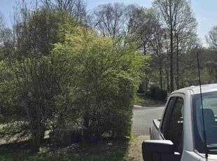 Bush Trimming by Shawn Noce for Laina L. in Concord, NC