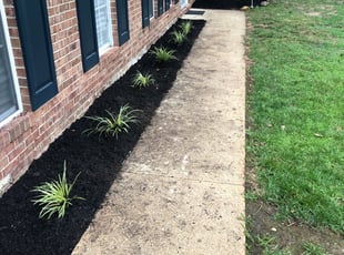 Mulching by Kunle Okubena for Chaun A. in Waldorf, MD