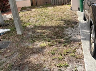 Landscaping by Abraham Taylor for arlene r. in Margate, FL