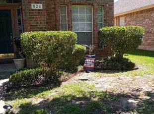 Bush Trimming by Angelica Zavala for Mike B. in Mesquite, TX