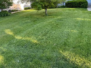Michael P.'s Lawn Service service result