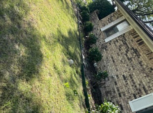 Marie O.'s Bush Trimming service result