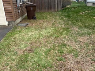 Leaf Removal by Harry Figueroa for Jennifer F. in Enfield, CT