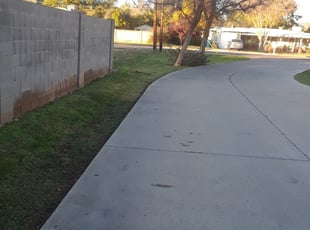 Leaf Removal by Joseph Slay for Chris G. in Phoenix, AZ