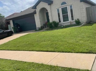 "Tammy Than Thi D.'s Grass Cutting service result