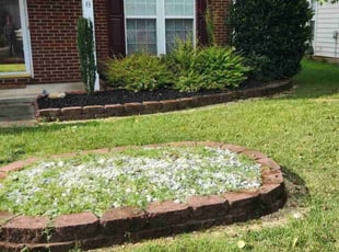 Weeding by Isaiah Cuthbertson for Zach B. in Indian Trail, NC