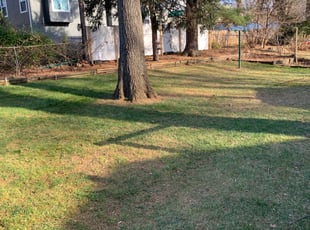 Leaf Removal by Nick Ecker for Maribell M. in Prairie Village, KS