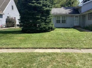 Cathy J.'s Lawn Service service result