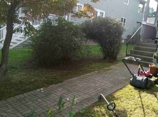 Bush Trimming by Albert Brown for Marcia D. in Newton, MA