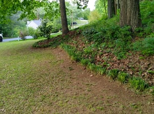 Cleanups by Andrew Estey for Robert C. in Acworth, GA