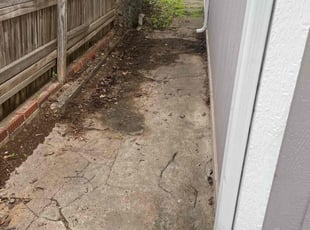 Conny N.'s Leaf Removal service result